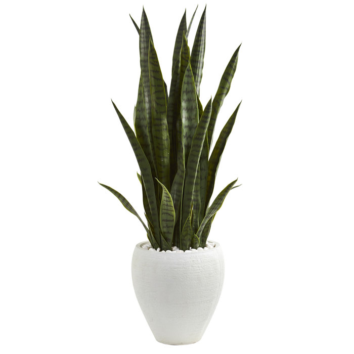 Primrue Sansevieria Artificial Snake Plant in Planter & Reviews Wayfair